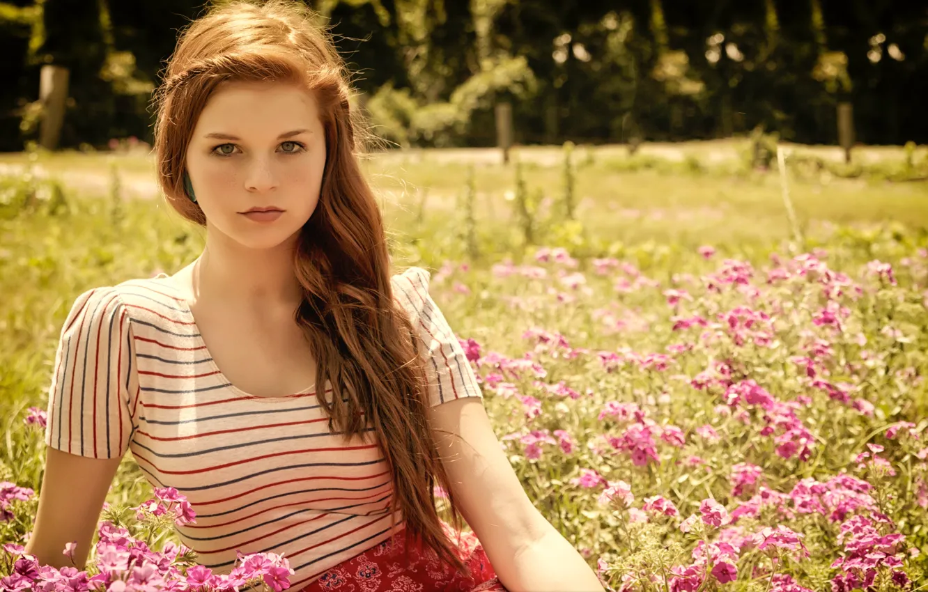 Фото обои трава, взгляд, девушка, цветы, шатенка, длинноволосая
