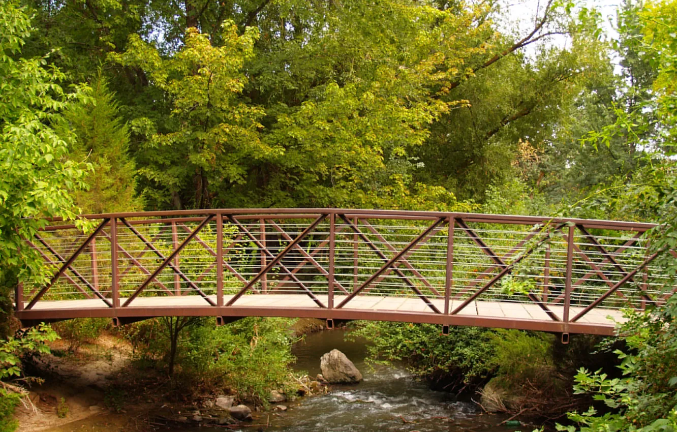 Фото обои зелень, мост, ручей