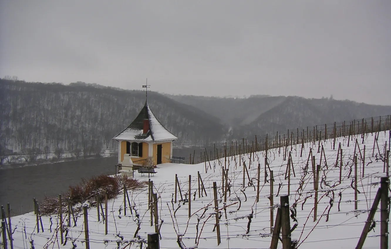 Фото обои river, winter, snow, fog, cloudy, riverside, vineyard