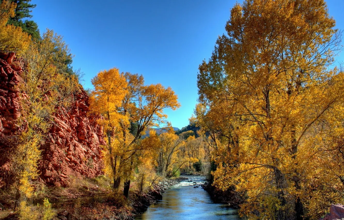 Фото обои осень, деревья, скалы, речка