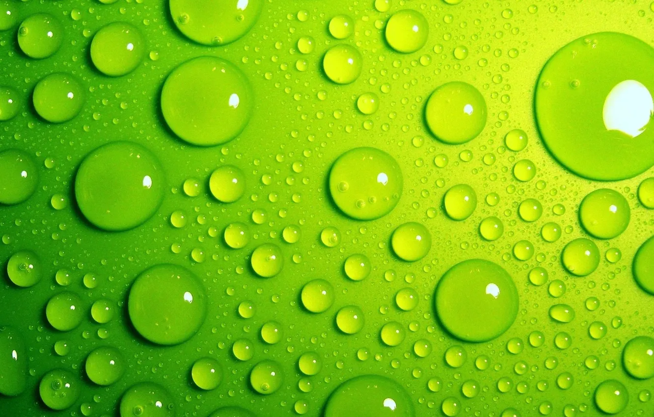 Фото обои вода, капли, макро, зелёный