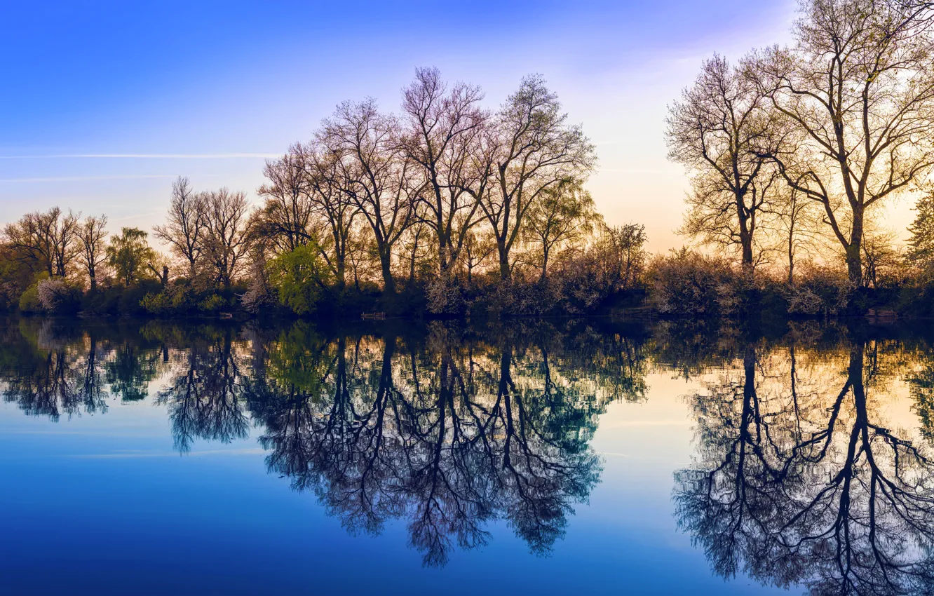 Фото обои вода, деревья, весна, половодье