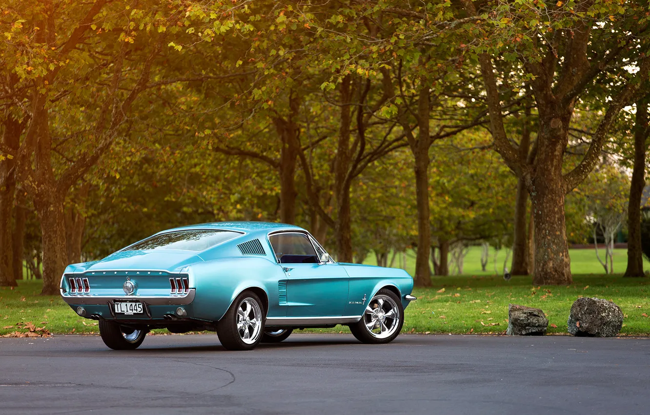 Фото обои Mustang, Ford, багажник, диски, 1967, Fastback