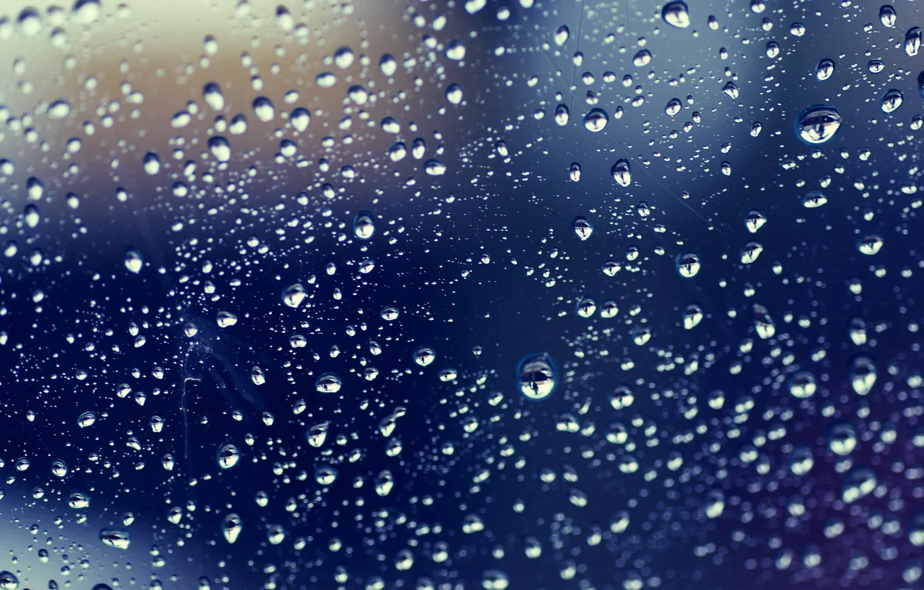 Фото обои капли, дождь, drops
