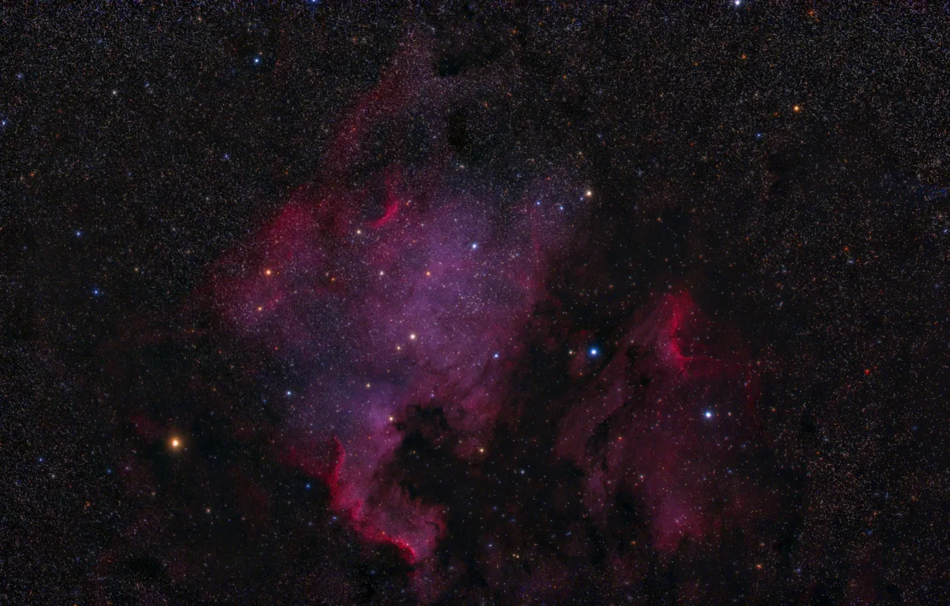 Фото обои космос, North America, Pelican Nebulas