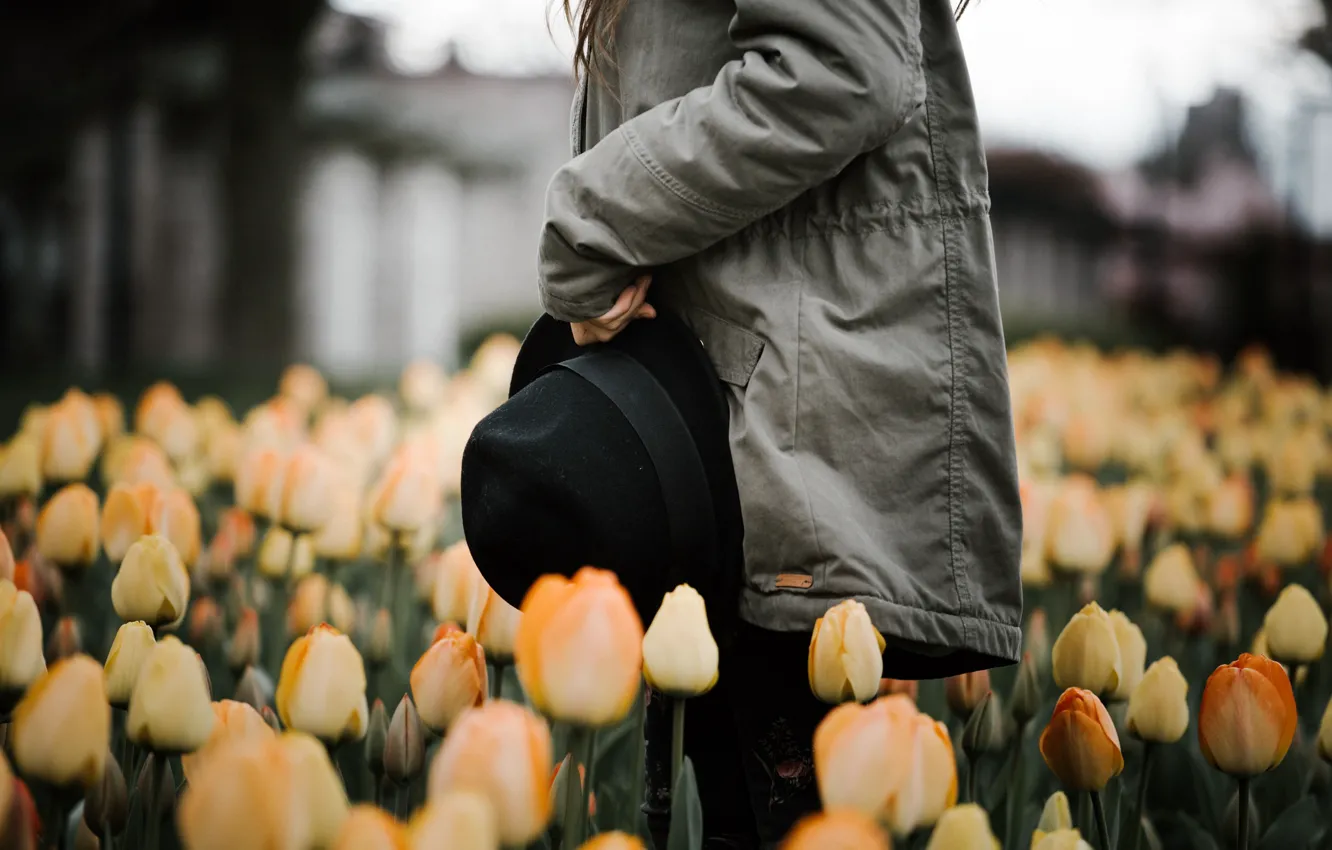 Фото обои девушка, цветы, шляпа, куртка, тюльпаны