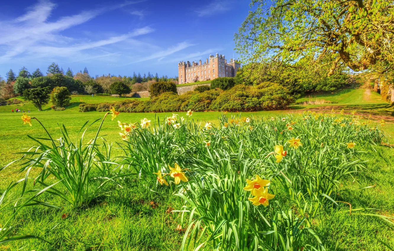 Фото обои зелень, поле, деревья, цветы, замок, Англия, солнечно, кусты