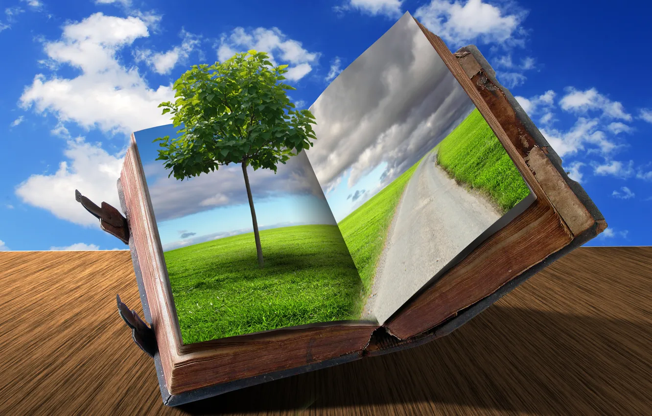 Фото обои дорога, трава, облака, креатив, дерево, книга
