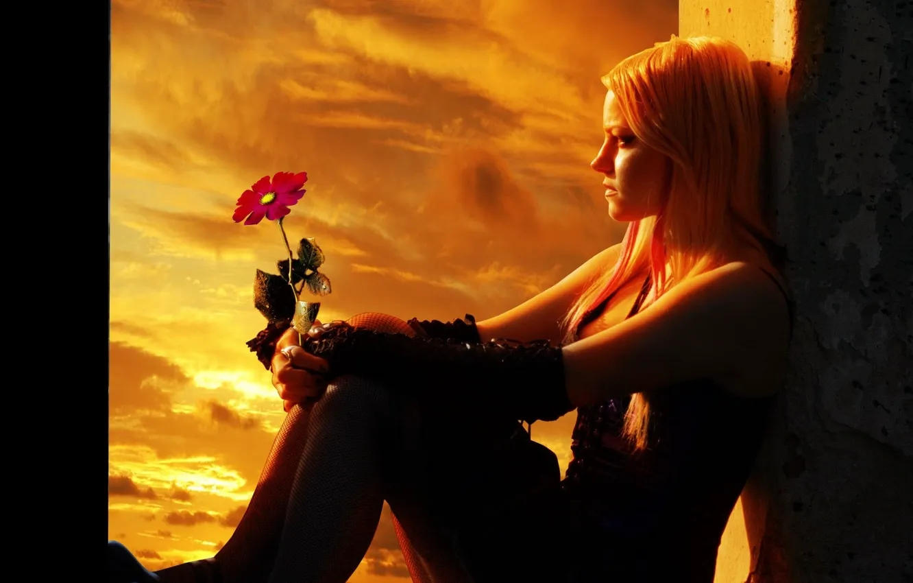 Фото обои girl, flower, sky, sunset, mood