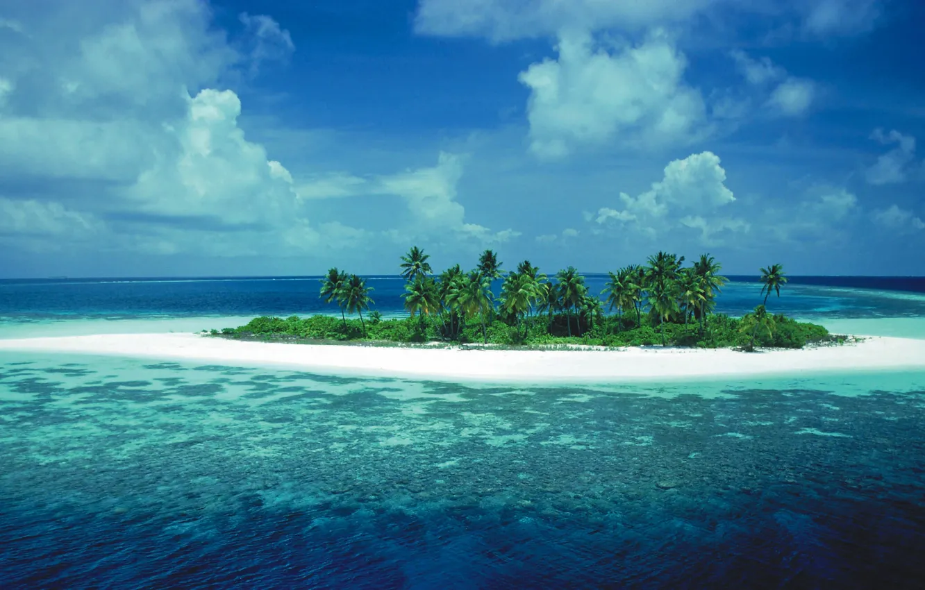 Фото обои пальмы, океан, остров