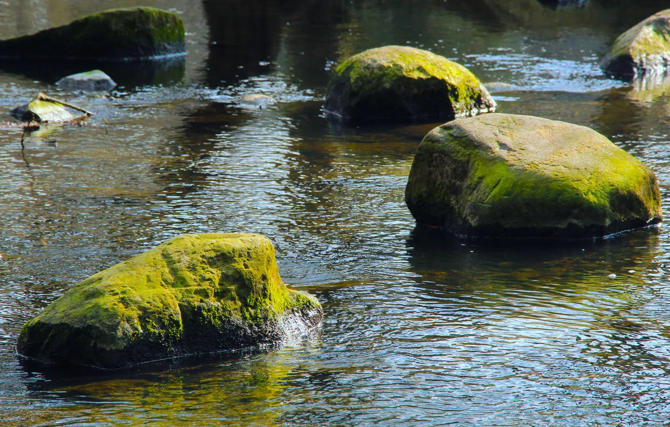 Фото обои river, water, stones, boulders