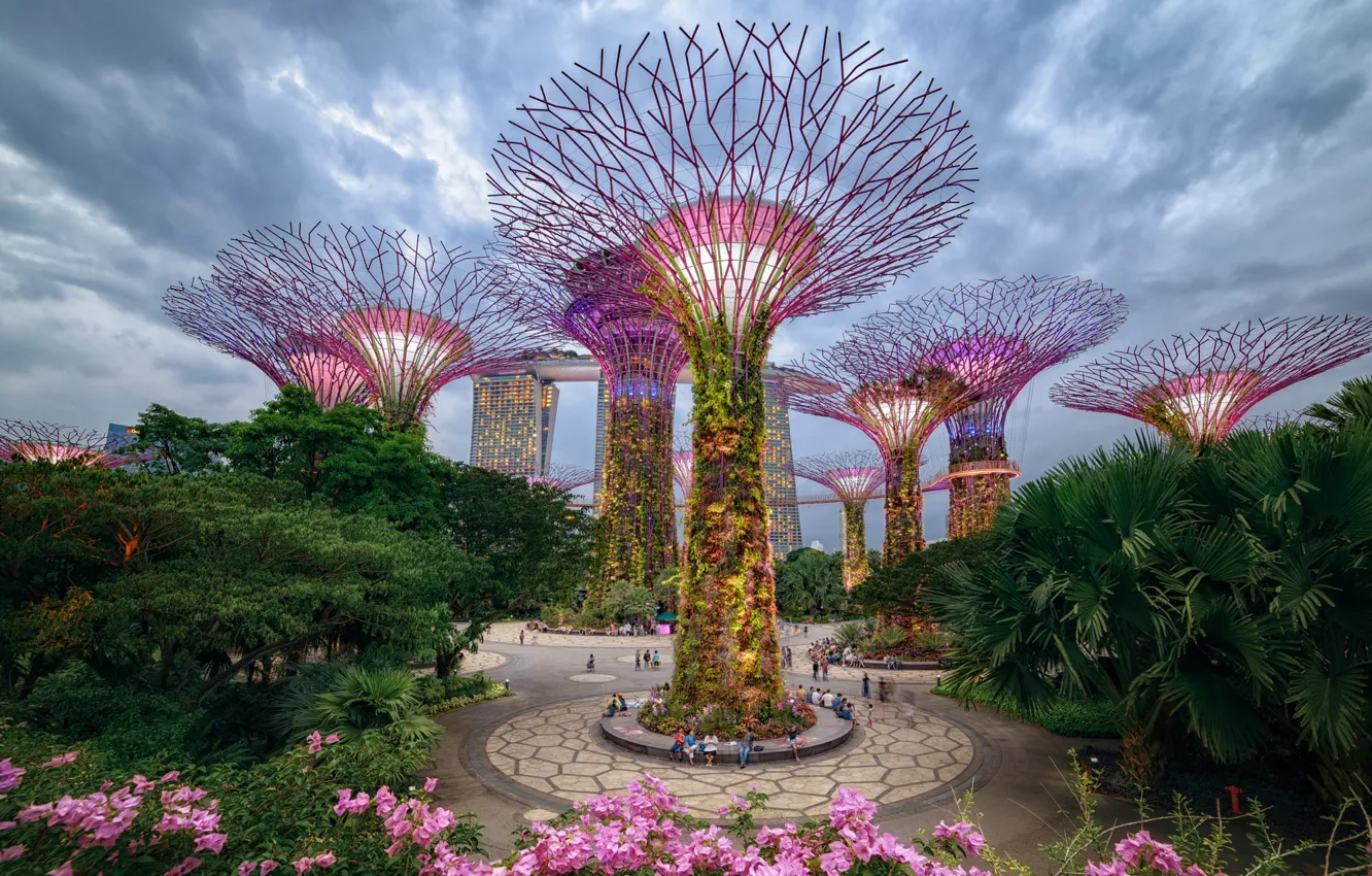 Фото обои деревья, город, парк, Сингапур, Gardens by the Bay, Supertree Grove