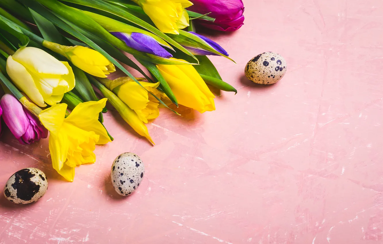 Фото обои цветы, яйца, colorful, Пасха, тюльпаны, happy, flowers, tulips