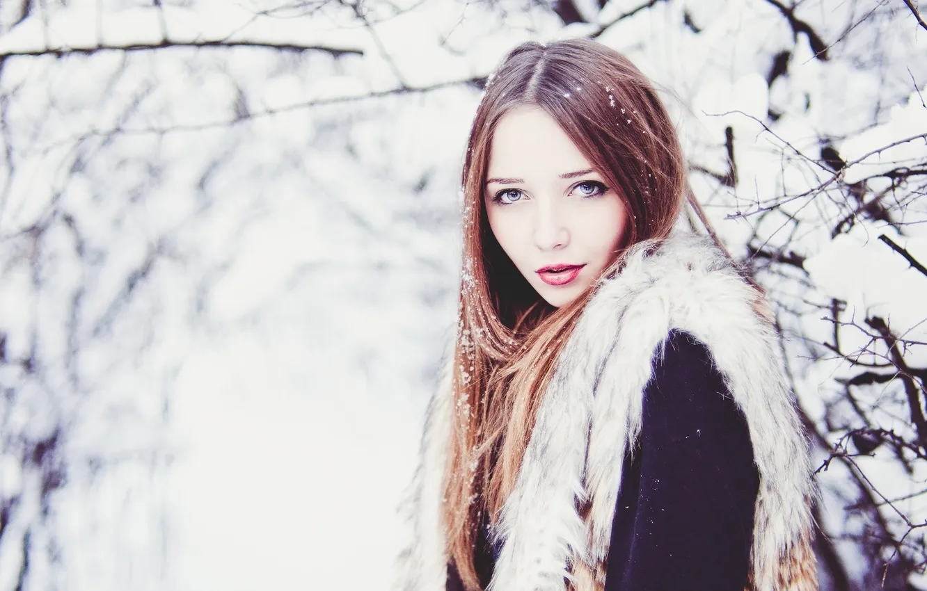 Фото обои девушка, снег, деревья, ветки, природа, макияж