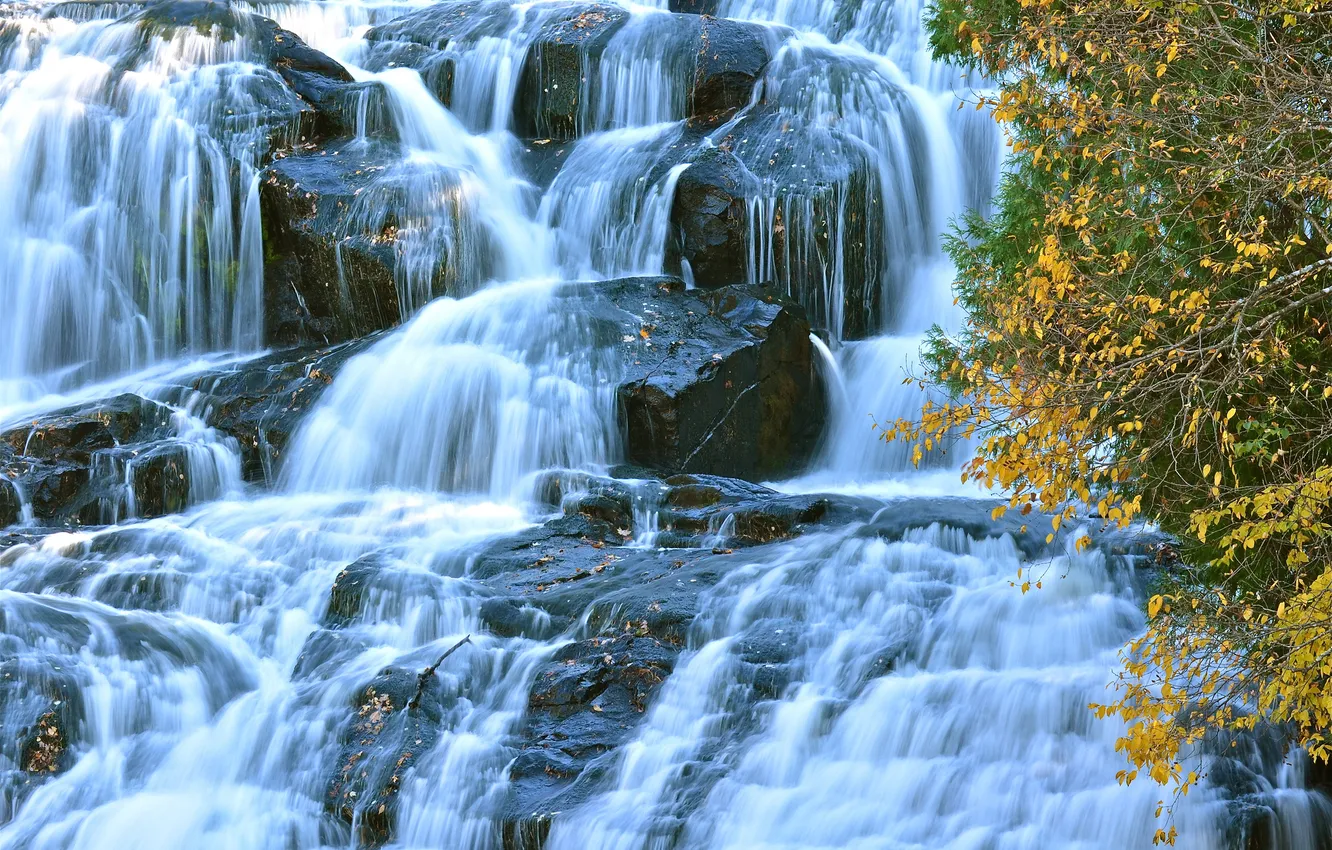 Фото обои осень, листья, ветки, водопад, поток, желтые, каскад