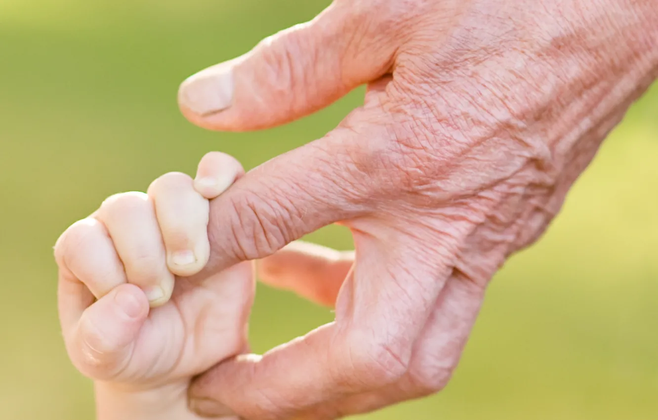 Фото обои hands, fingers, grandfather, grandson