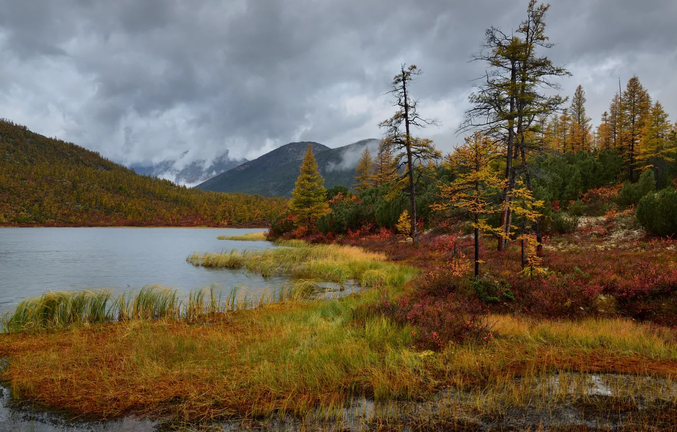 Фото обои осень, лес, деревья, берег, водоем