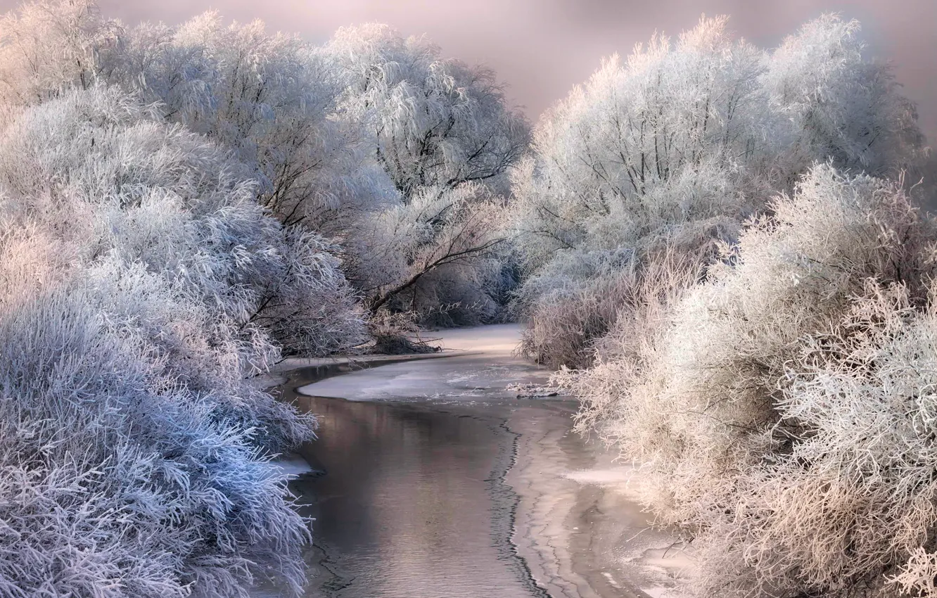 Фото обои зима, иней, снег, деревья, природа, река, лёд