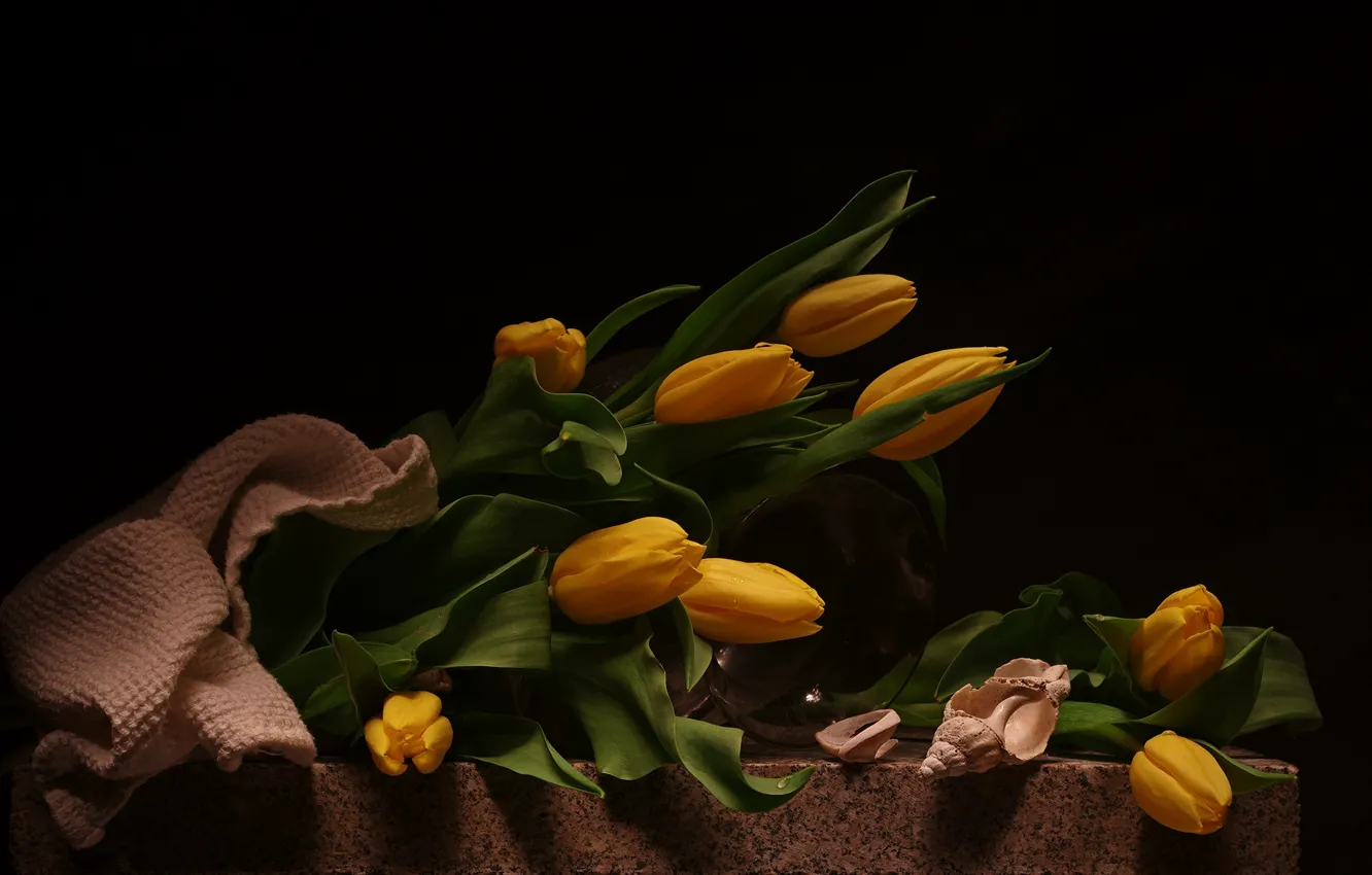 Фото обои цветы, букет, тюльпаны, натюрморт