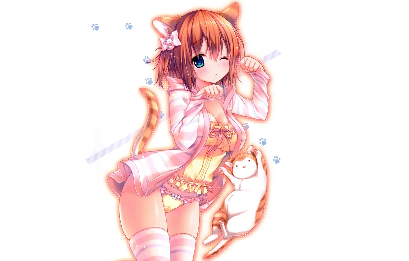 Фото обои girl, sexy, lingerie, pantsu, cleavage, blouse, panties, thighhighs