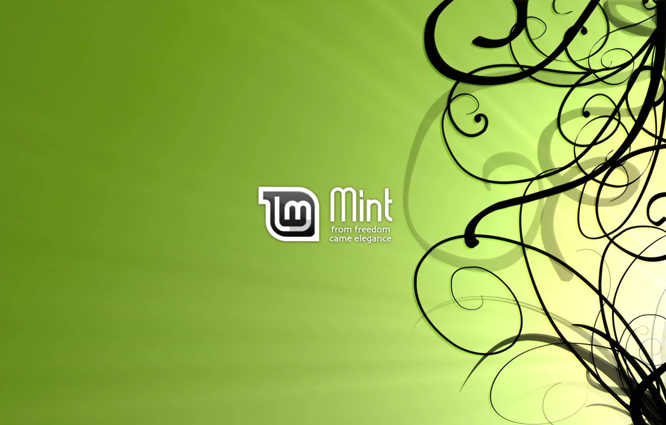 Фото обои Линии, Linux, Linux Mint, Linux mint, LINUX, Чёрные линии