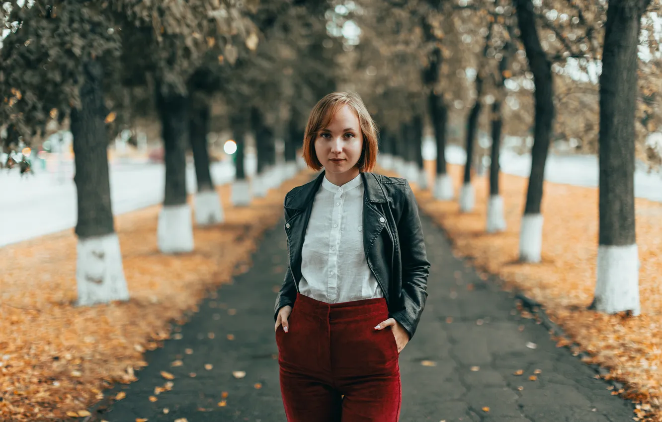 Фото обои девушка, деревья, парк, аллея, осенний день, пожелтевшая листва