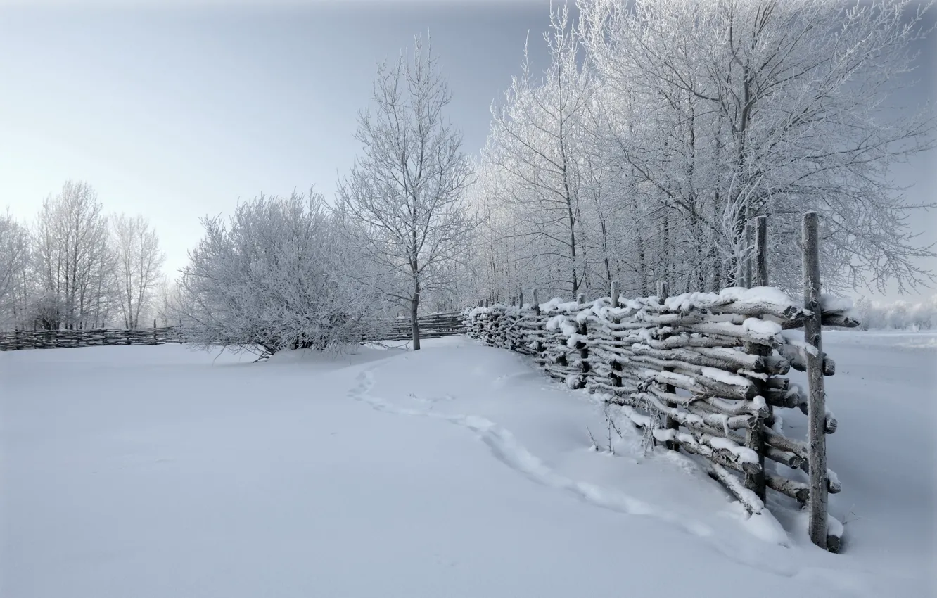 Фото обои зима, снег, природа, забор