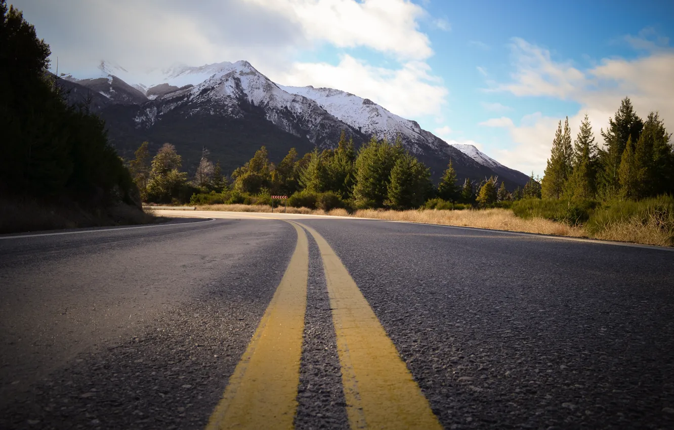 Фото обои дорога, лес, горы, шоссе, Argentina