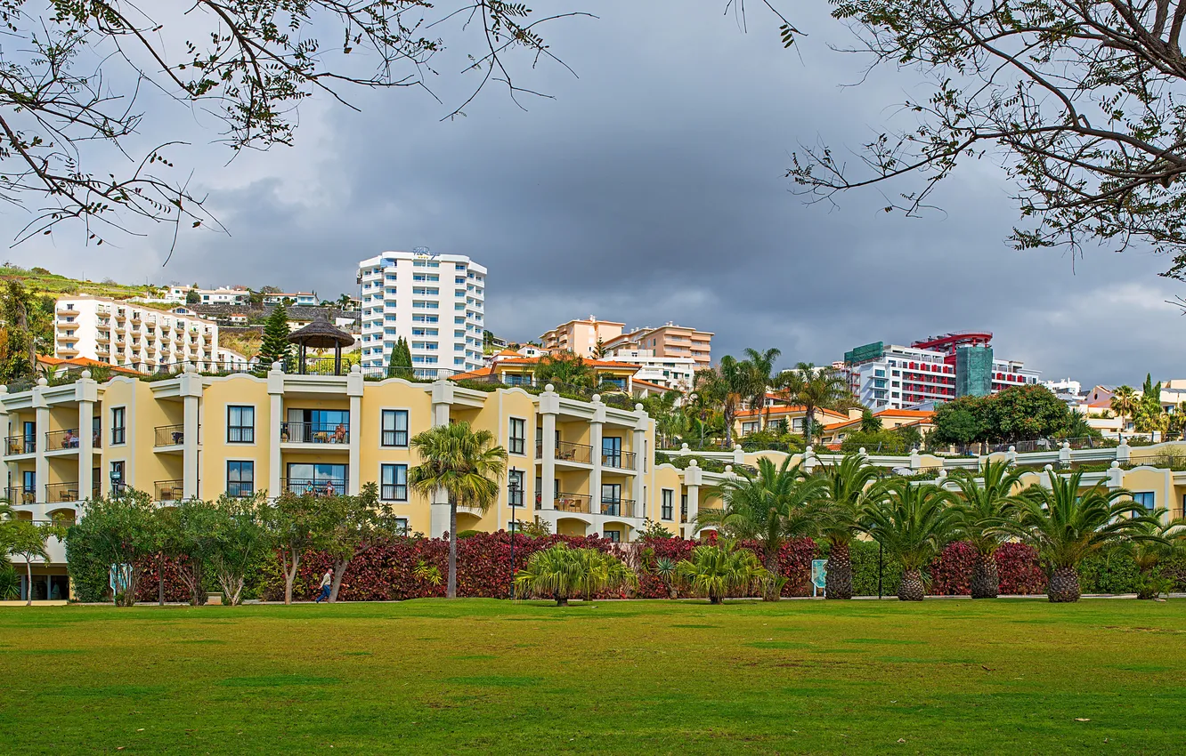 Фото обои город, пальмы, фото, газон, дома, Португалия, курорт, Funchal Madeira