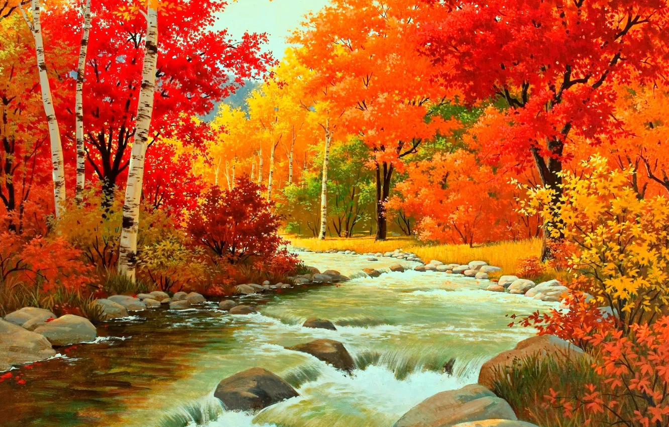 Фото обои лес, вода, река, камни, листва, Осень, кусты