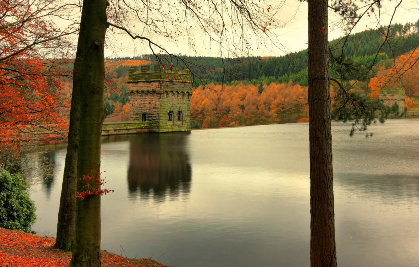Фото обои осень, небо, деревья, озеро, башня
