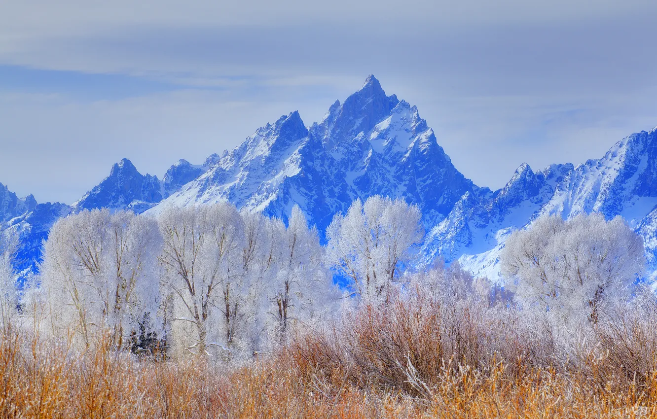 Фото обои зима, иней, небо, снег, деревья, горы, сша, wyoming