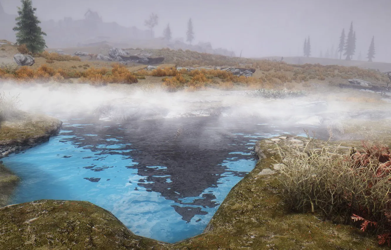 Фото обои трава, туман, озеро, ель, grass, lake, fog, skyrim