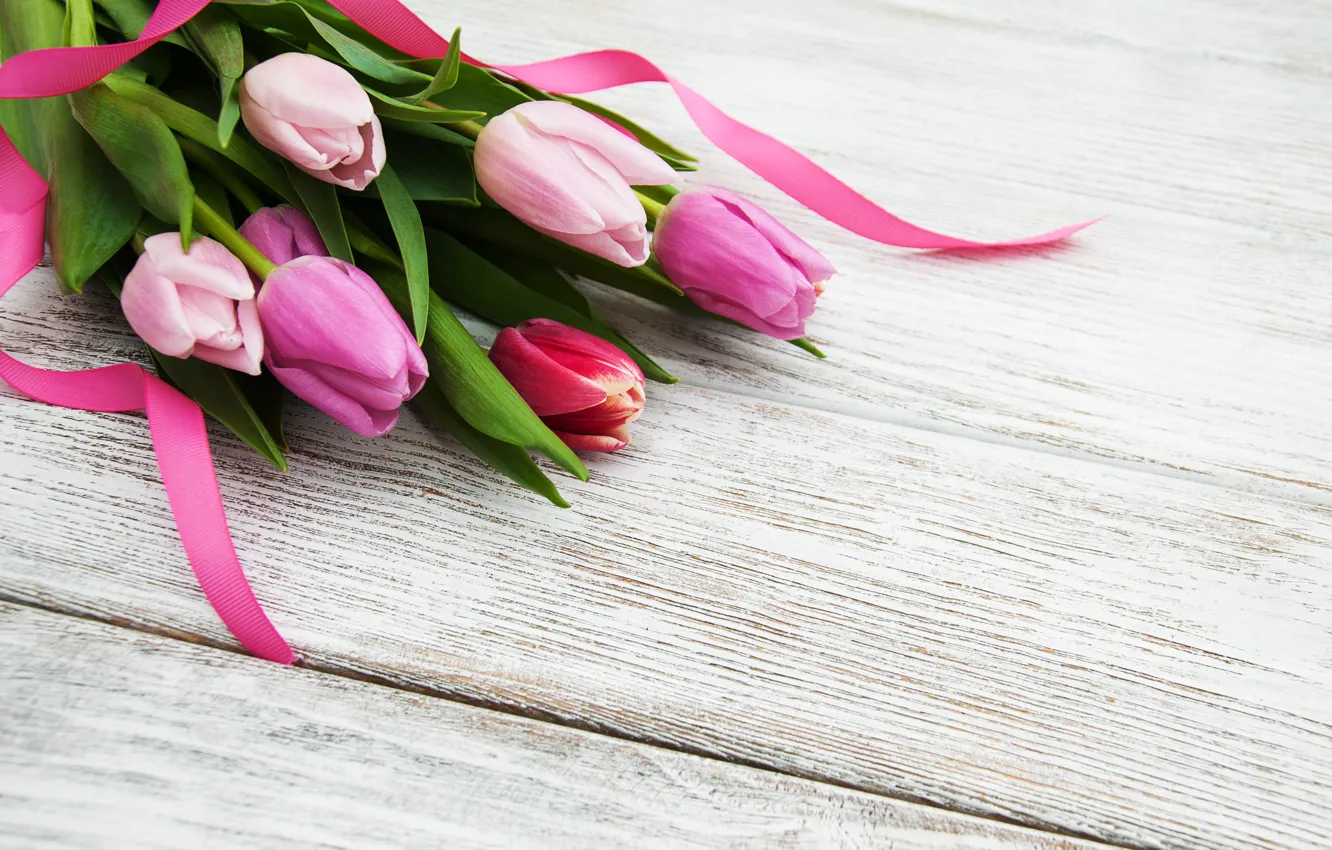 Фото обои цветы, букет, colorful, тюльпаны, pink, flowers, tulips, spring