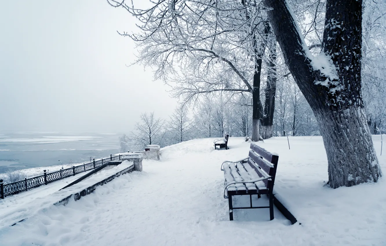 Фото обои зима, снег, деревья, природа, парк, nature, winter, snow