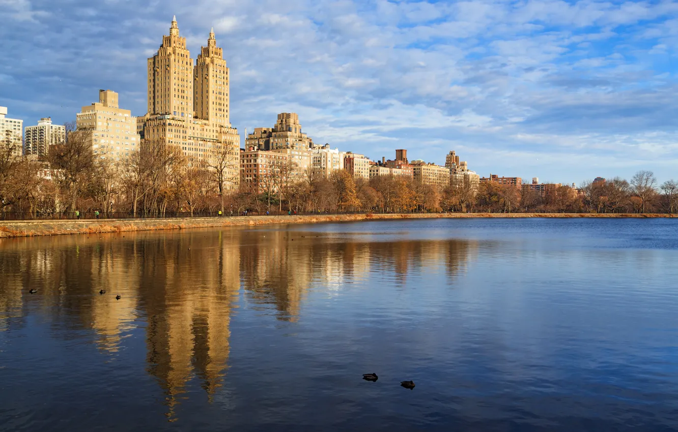 Фото обои небо, пейзаж, пруд, дома, Нью-Йорк, США, центральный парк