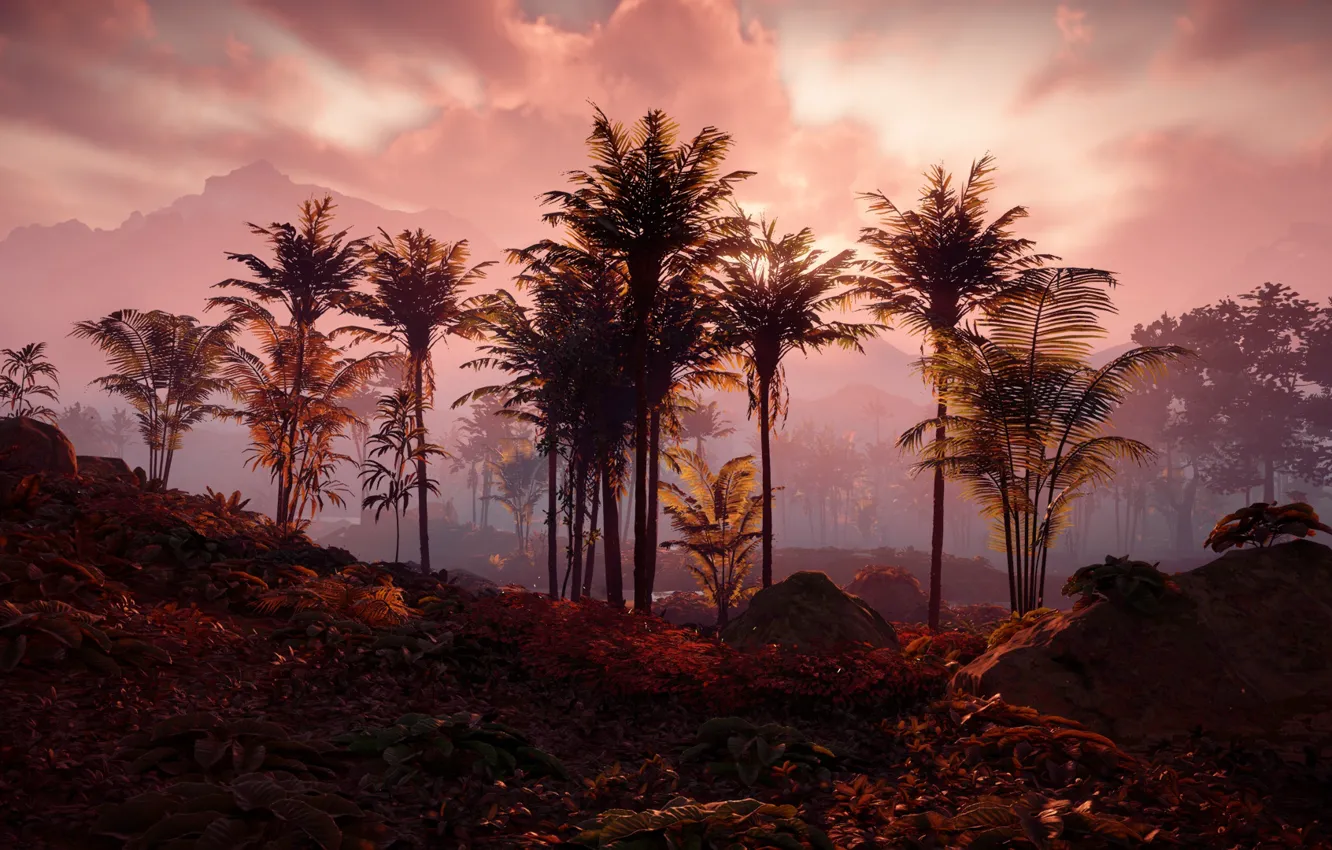 Фото обои пейзаж, закат, пальмы, постапокалипсис, Playstation 4, Guerrilla Games, Horizon Zero Dawn
