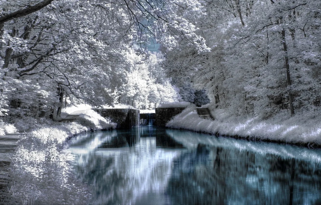 Фото обои зима, снег, деревья, пейзажи, леса, парки
