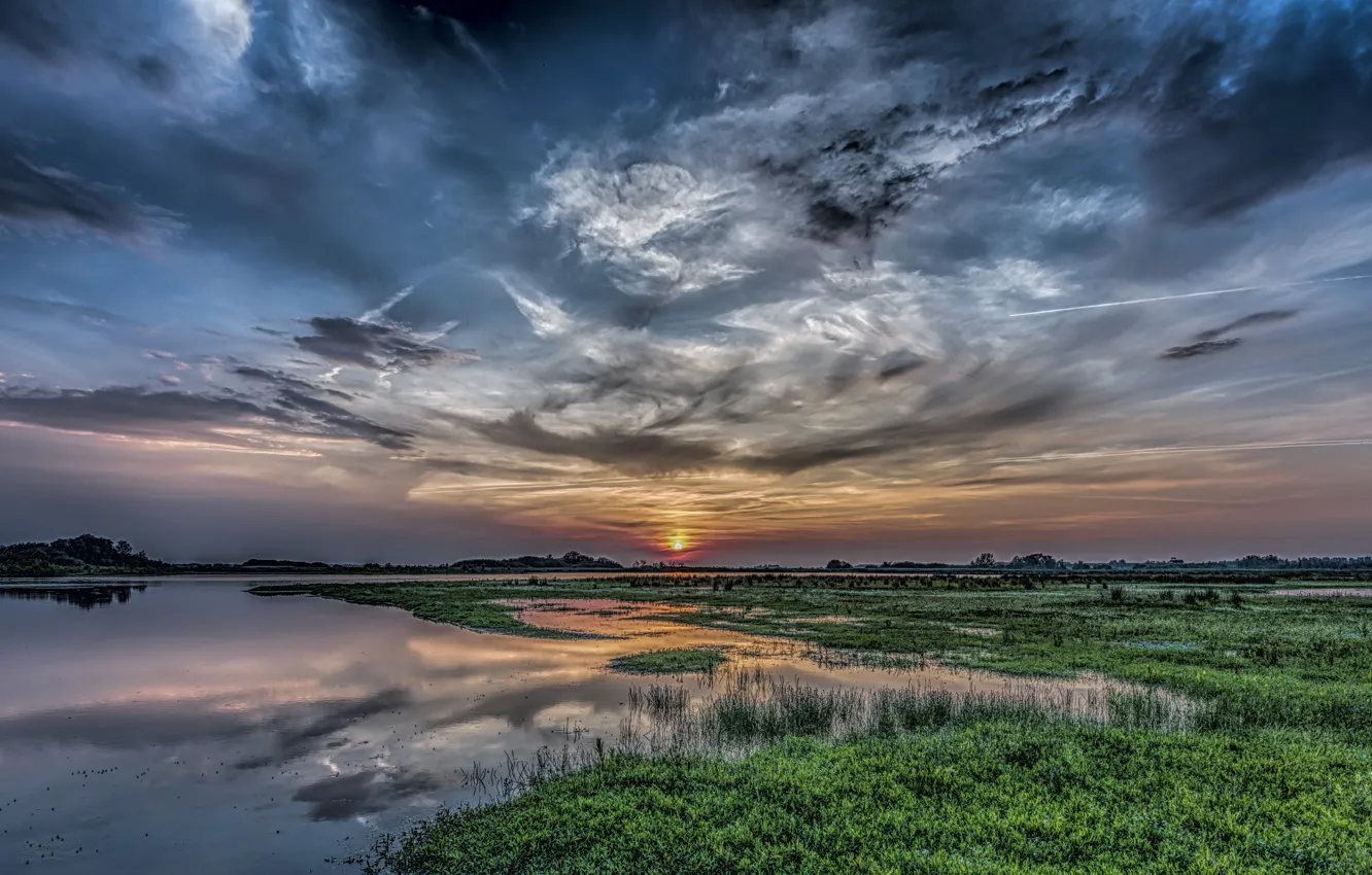 Фото обои поле, небо, природа