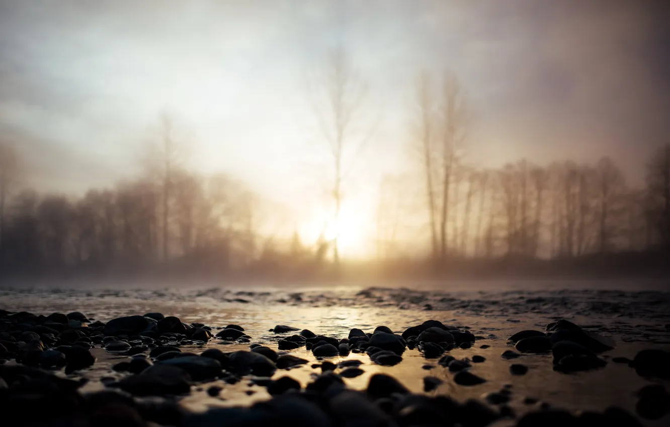 Фото обои туман, река, утро