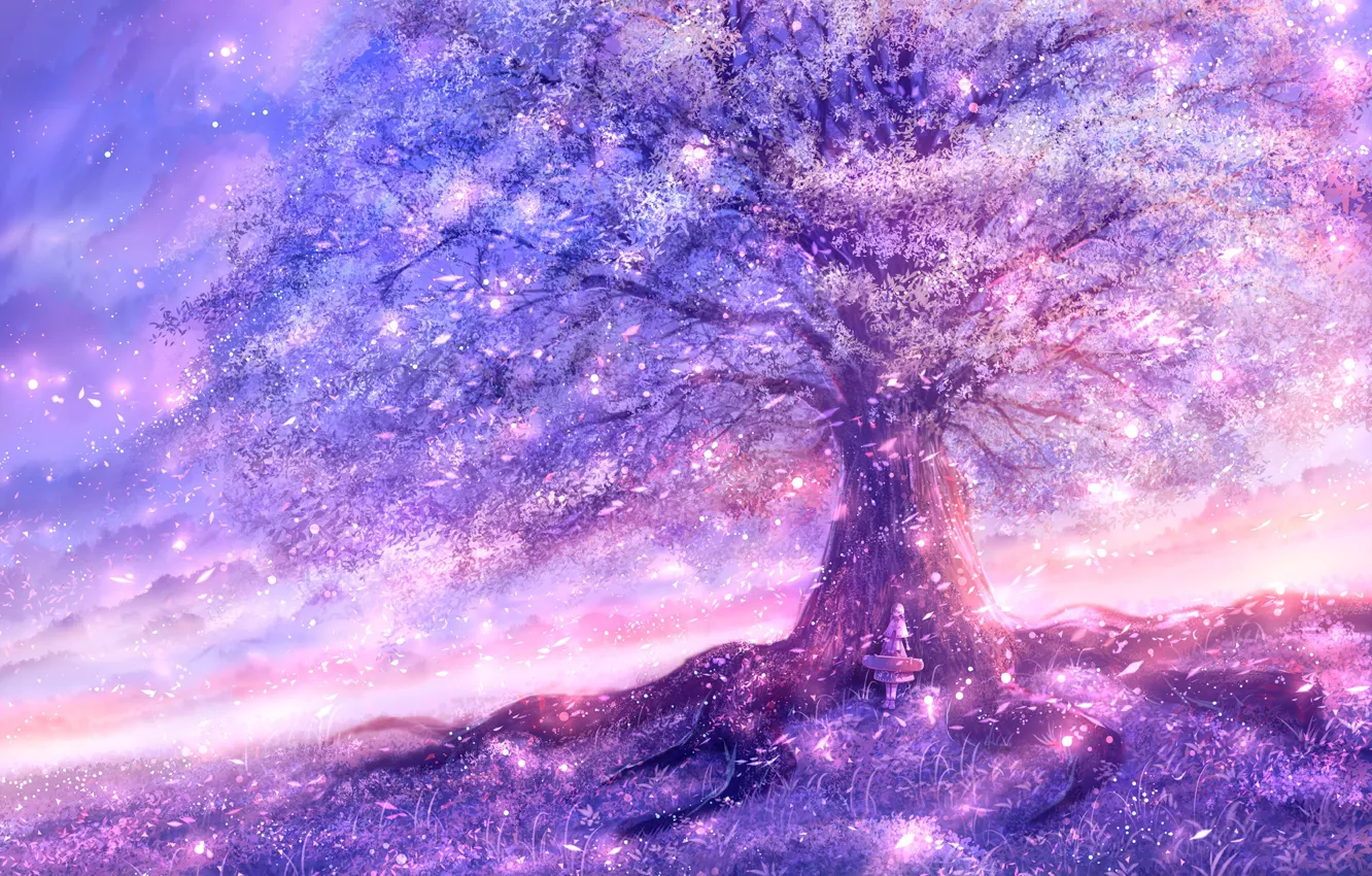 Фото обои небо, девушка, природа, дерево, цветение