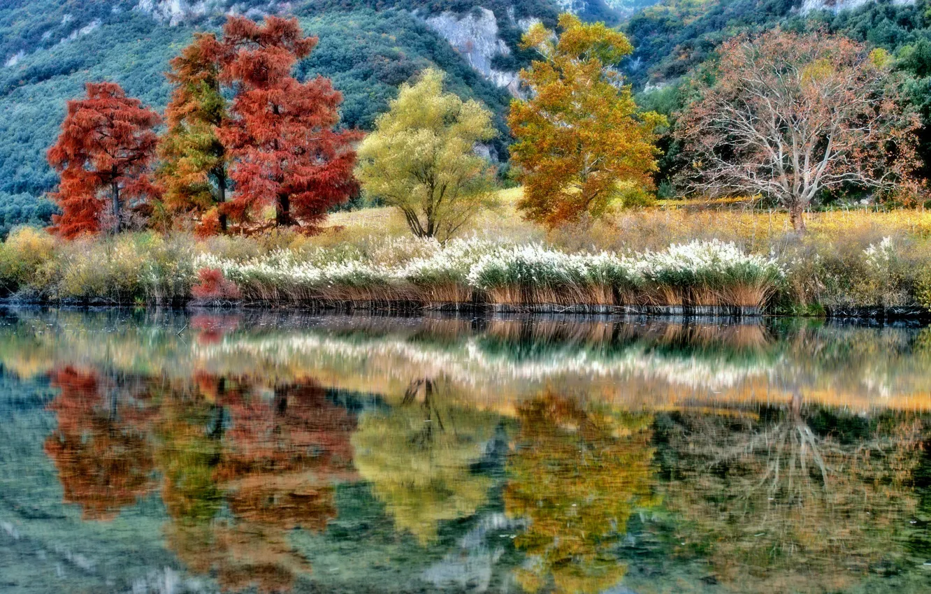 Фото обои осень, деревья, отражение