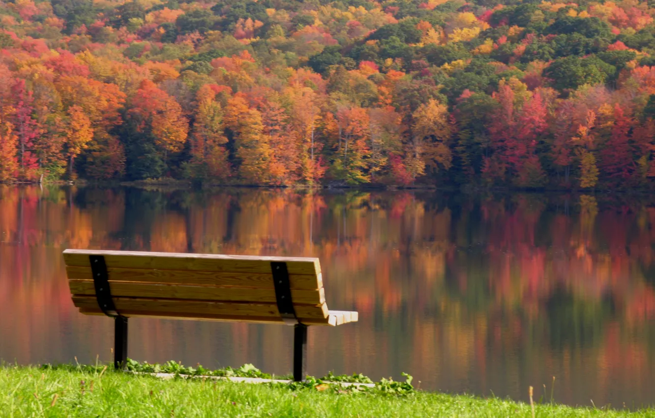 Фото обои листья, деревья, пейзаж, скамейка, отражение, река, безмятежность, Осень