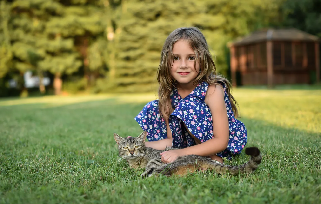 Фото обои кошка, трава, девочка, боке, Ivan Niznicki