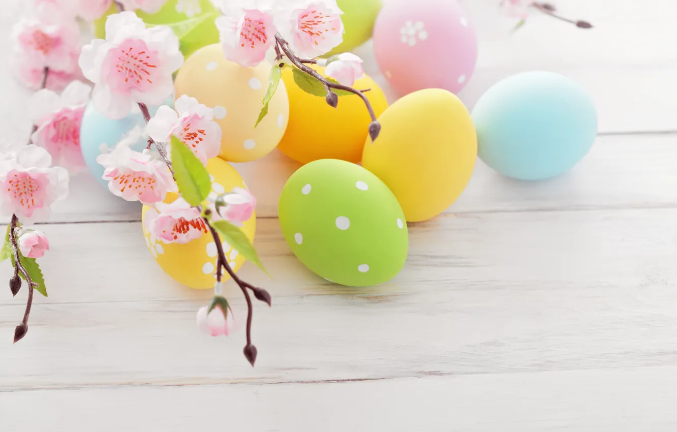 Фото обои Пасха, flowers, spring, Easter, eggs