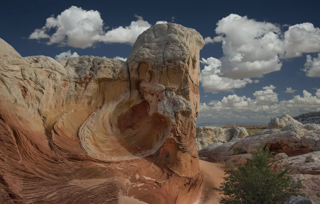 Фото обои скала, Аризона, Седона, Rabbit Ears Rock Formation