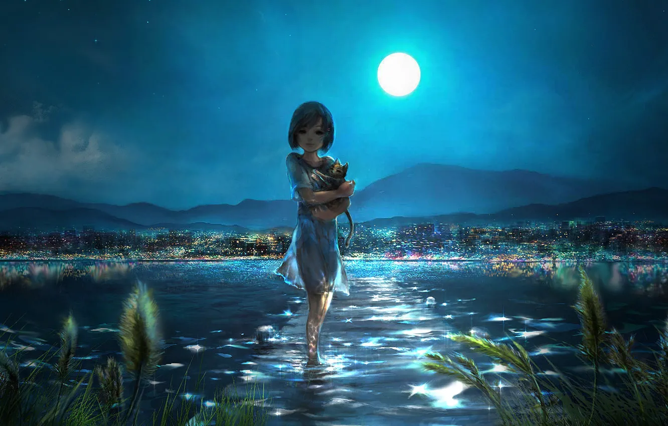 Фото обои вода, ночь, город, котенок, луна, девочка