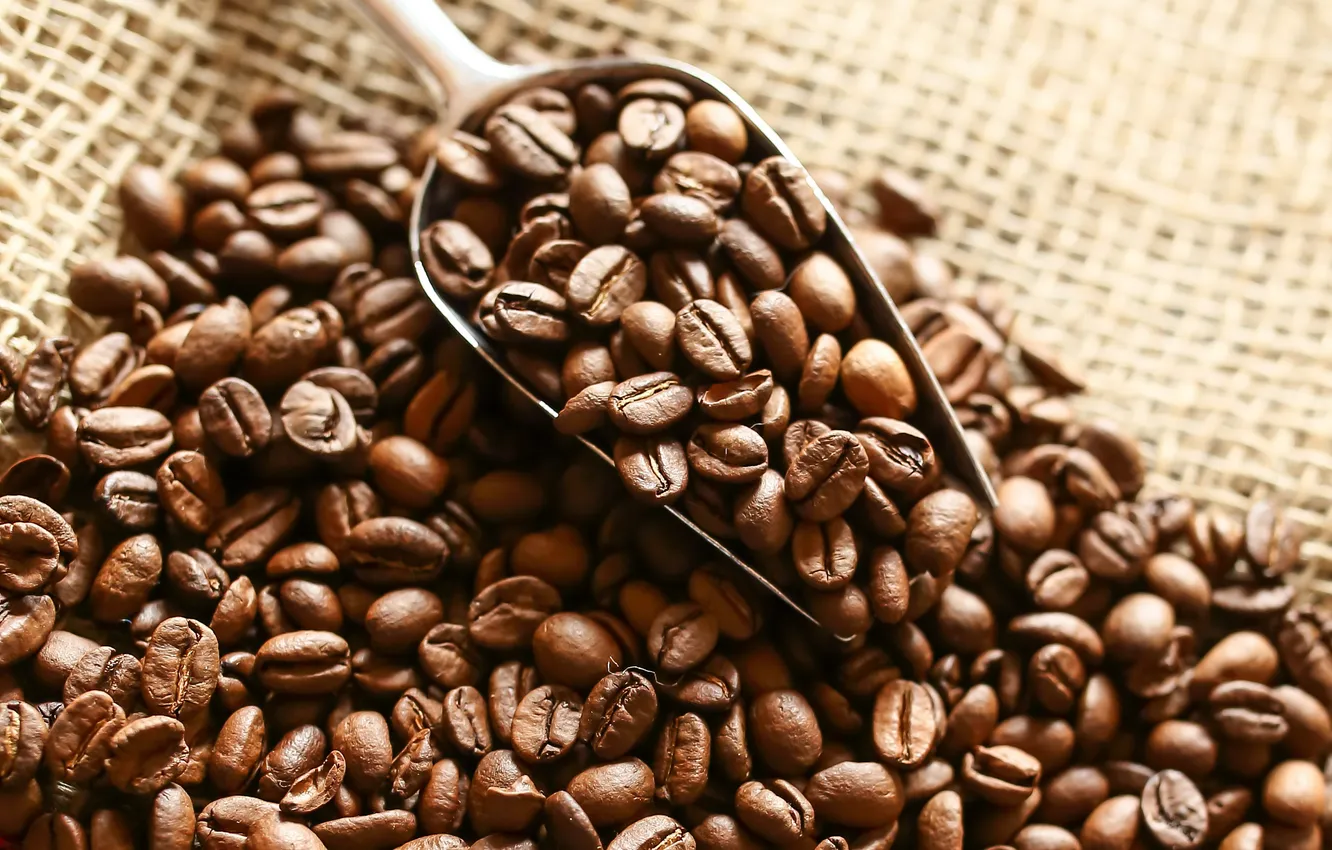 Фото обои кофе, зерна, beans, coffee, cloth