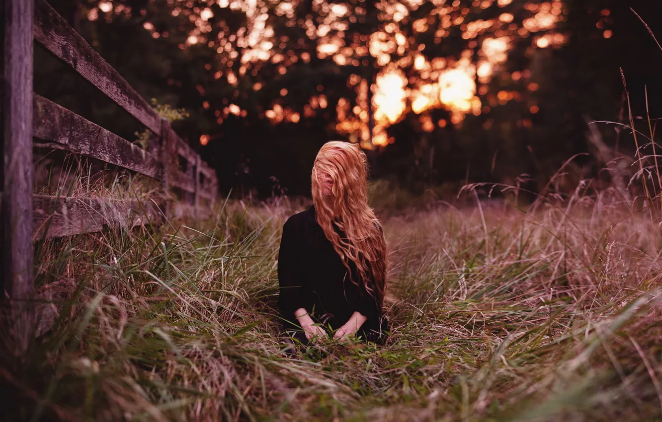 Фото обои поле, девушка, свет, закат