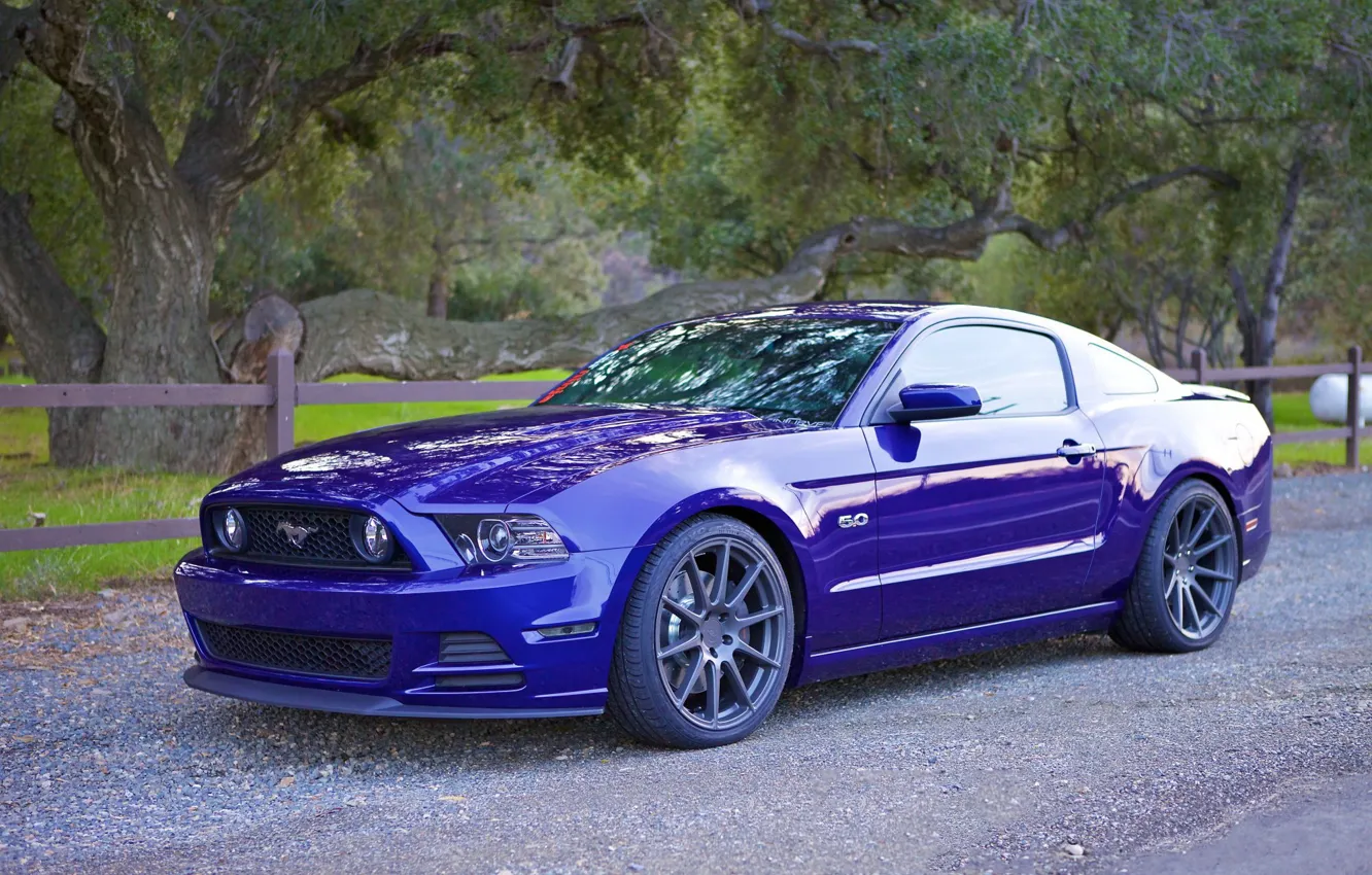 Фото обои Mustang, Ford, IC-S10, Incurve
